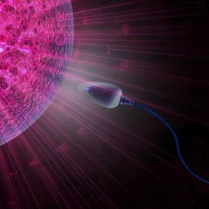 Entenda o que é fertilidade, infertilidade e esterilidade